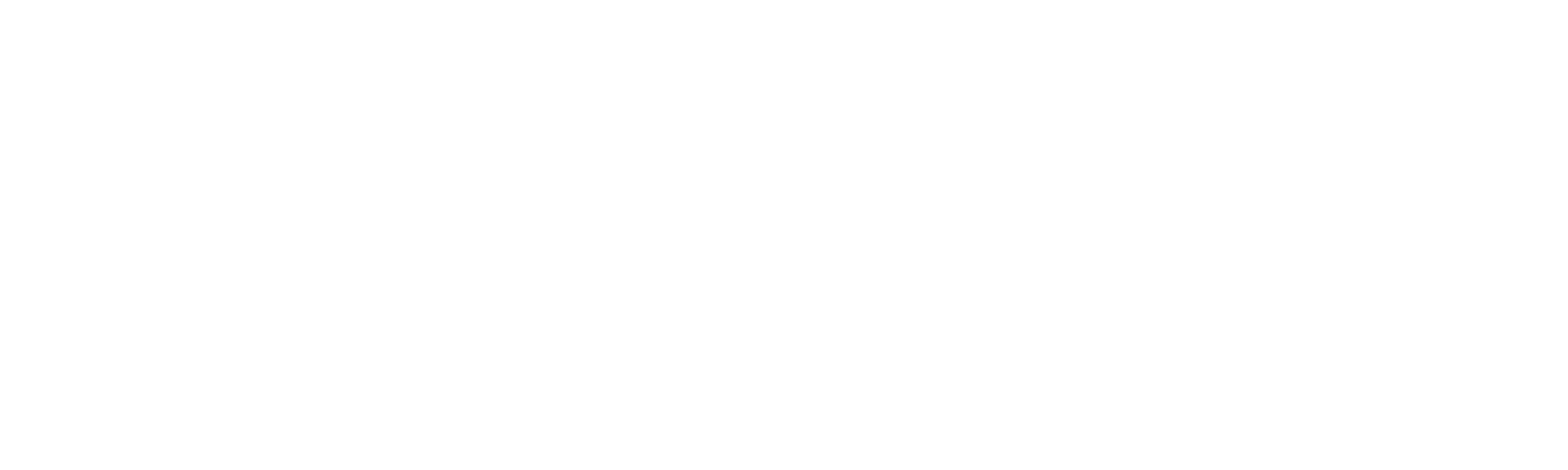 Snizz Performance